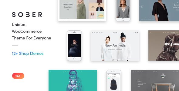 Best Wordpress Trading Template in 2019: Sober - WooCommerce WordPress Theme 49 1555623058 01 preview. large preview |