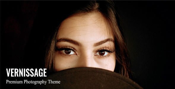 Discover Featured Wordpress template: Vernissage - Photography WordPress Theme 23 01 screenshot. large preview |