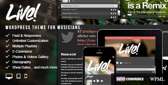 Best Wordpress Trading Template in 2019: Live! - Music Wordpress Theme 29 01 Preview. large preview |